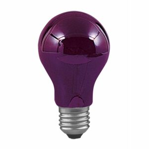 Paulmann Leuchtstofflampe E27 Glühlampenform 75 W 9