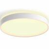 Philips Hue Deckenleuchte Enrave XL White Ambiance Weiß 4.750 lm inkl. Dimmer