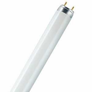 Osram Leuchtstofflampe G13 Röhrenform 18 W 1200 lm 60