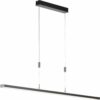 Fischer & Honsel LED-Pendelleuchte Vitan TW 1x 23 W Schwarz 5700 lm