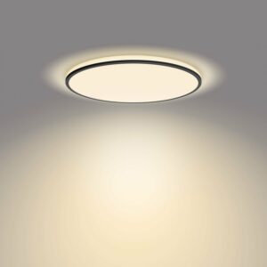 Philips LED-Deckenleuchte Ozziet SceneSwitch Schwarz 2300 lm