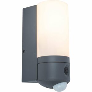 Lutec LED-Kameraleuchte Pollux 1-flammig Anthrazit 23