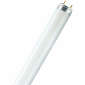Osram LED-Leuchtmittel G13 Röhrenform 16 W 1250 lm 7