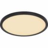 Globo LED Deckenleuchte Sapana Ø 42 cm Schwarz