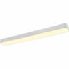 LED-Deckenleuchte Asterion 45W 4500 lm Weiß matt