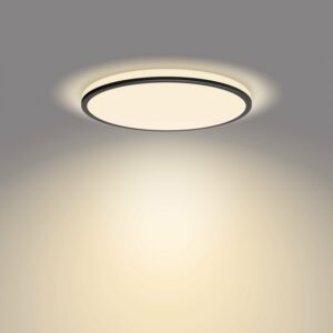 Philips LED-Deckenleuchte Ozziet SceneSwitch Schwarz 1800 lm