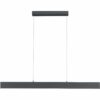 Leuchten Direkt LED-Pendelleuchte Nila Anthrazit FSC®