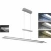Fischer & Honsel LED-Pendelleuchte Roof 1x 29 W Nickel 3400 lm