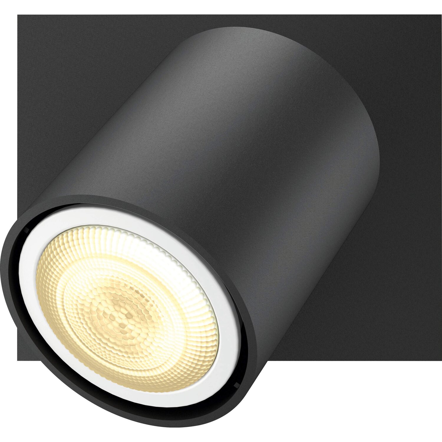 Philips Hue Spot 1-flg. White Ambiance Runner Schwarz 250 lm inkl. Dimmer