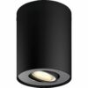 Philips Hue Spot 1-flg. White Ambiance Pillar Schwarz 250 lm